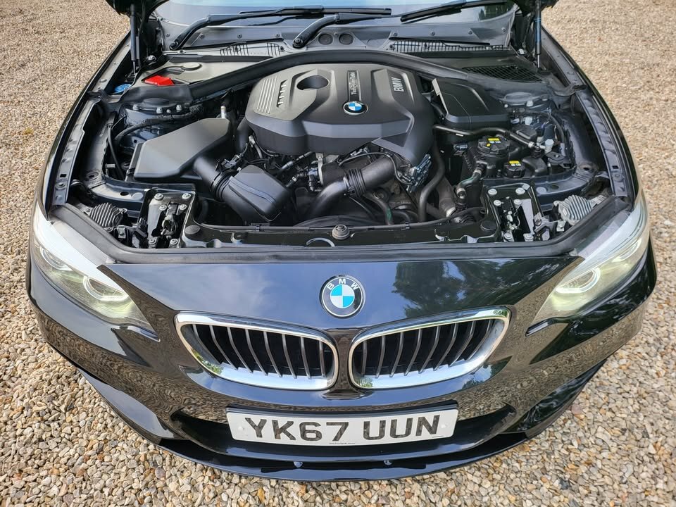 2017 BMW 2 series 220i m sport auto — photo 11