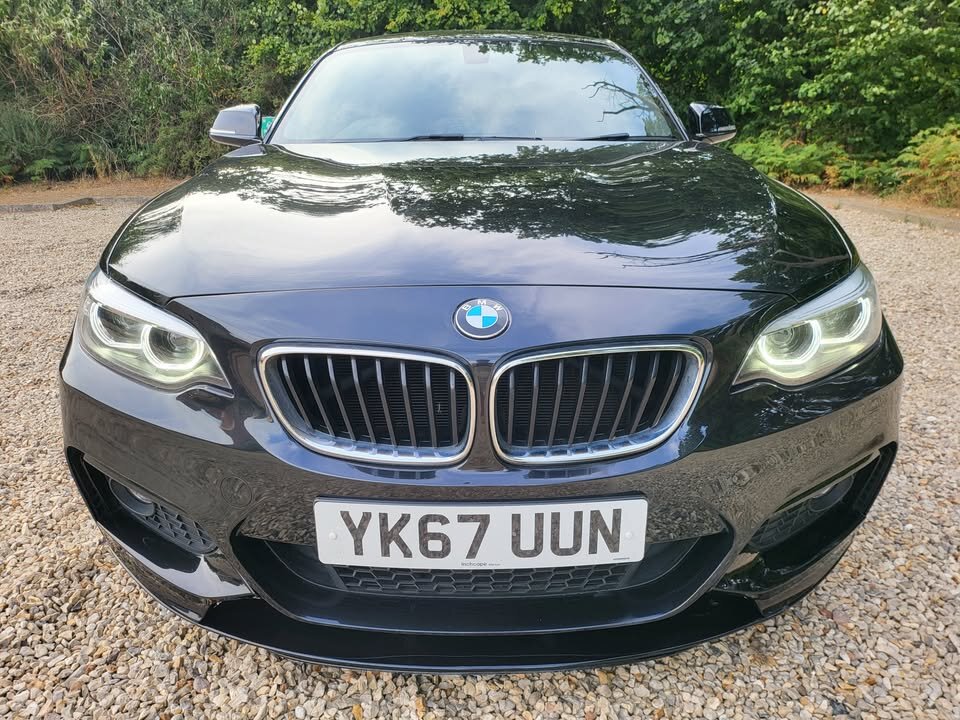 2017 BMW 2 series 220i m sport auto — photo 13